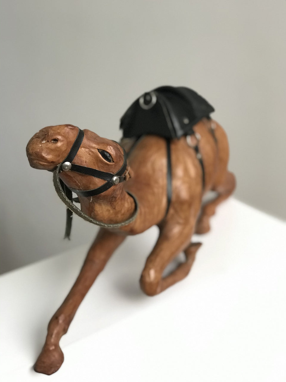 charming leather camel