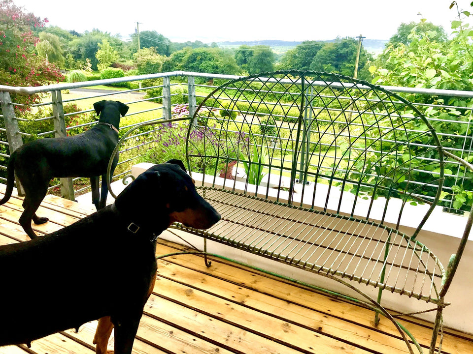 Stylish Metal Bench Seat (1)