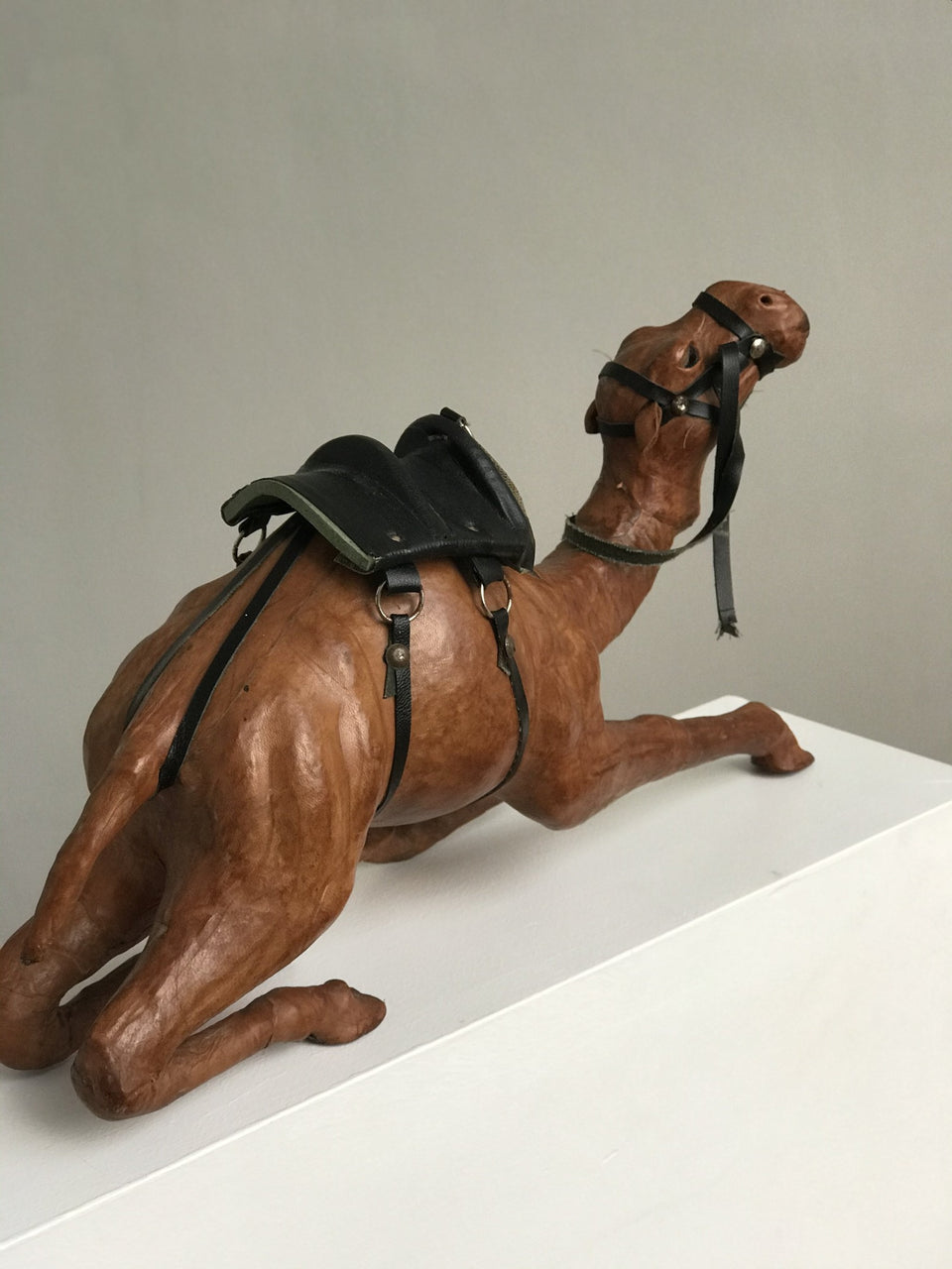 Leather Camel